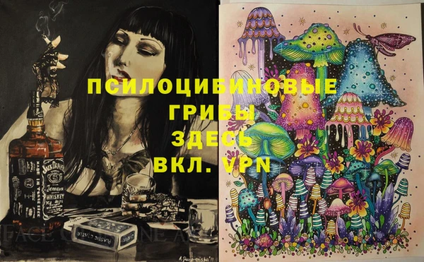 mix Абаза