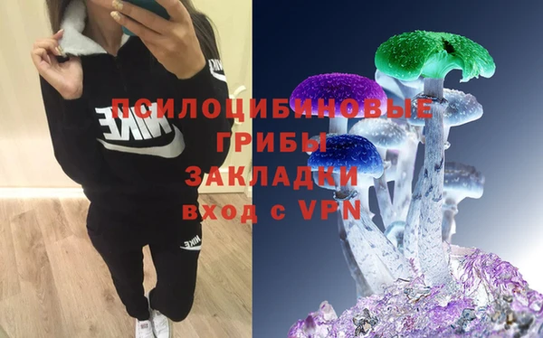 а пвп мука Алексеевка